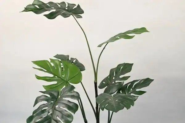 Can artificial monstera potted plants be used outdoors?